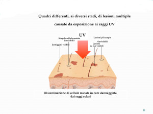 campo-cancerizzazione